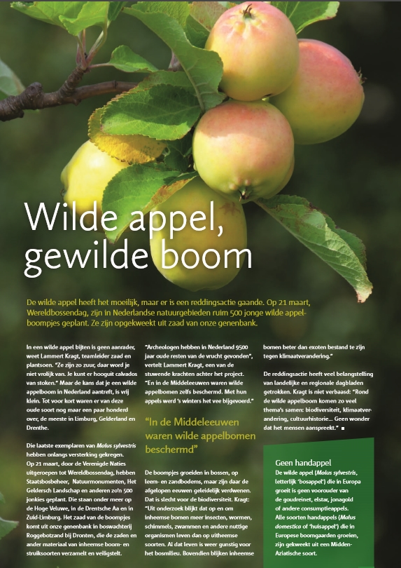 Wilde appels, gewilde boom